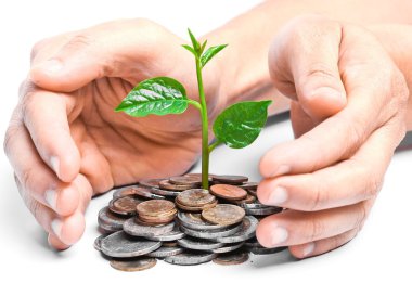 sikke üzerinde büyüyen tress tutan eller