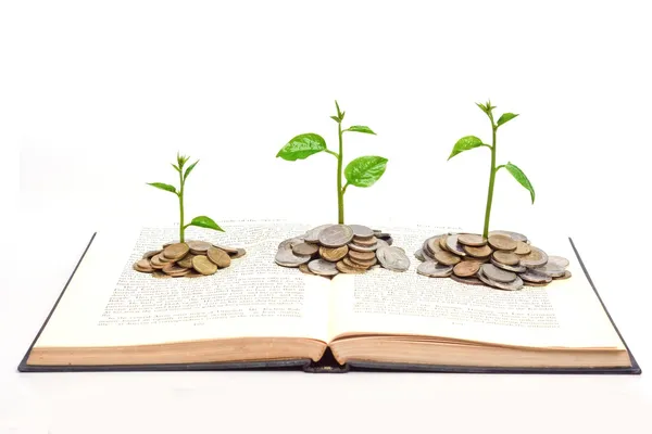 Trees growing from books with coins — Stock Photo, Image