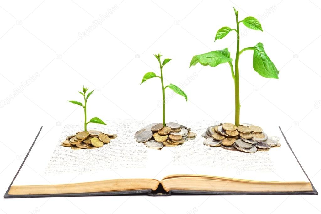 Trees growing from books with coins