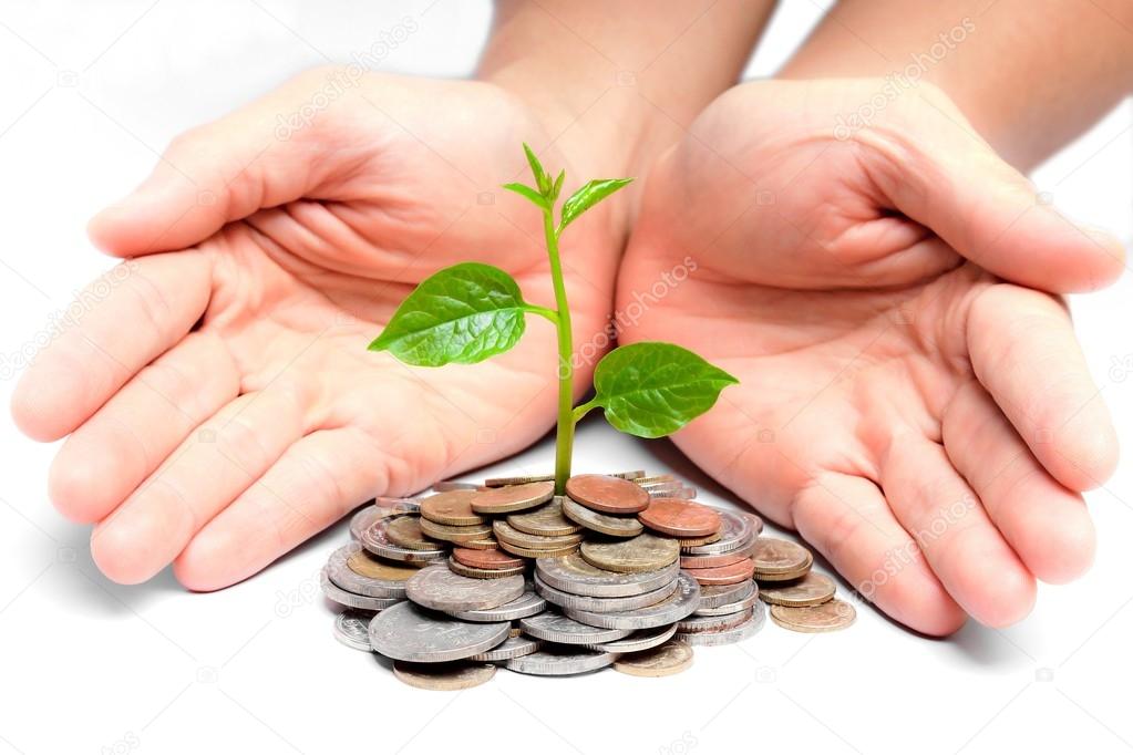 Hands holding tress growing on coins