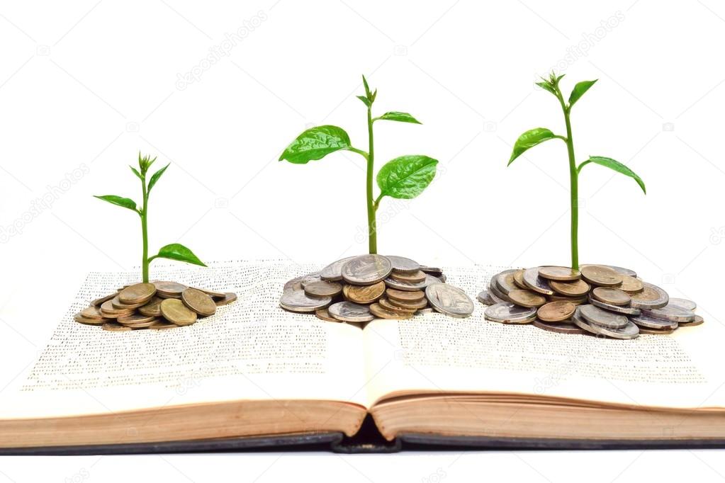 Trees growing from books with coins