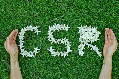 CSR - sosyal sorumluluk