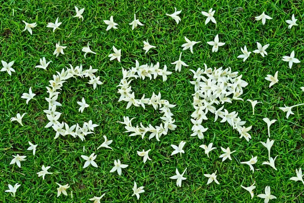 CSR - sosyal sorumluluk