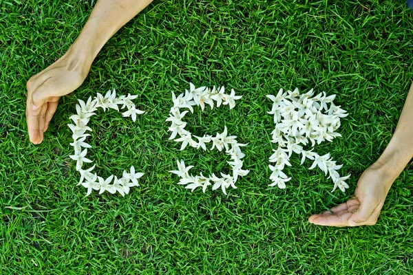 CSR - sosyal sorumluluk