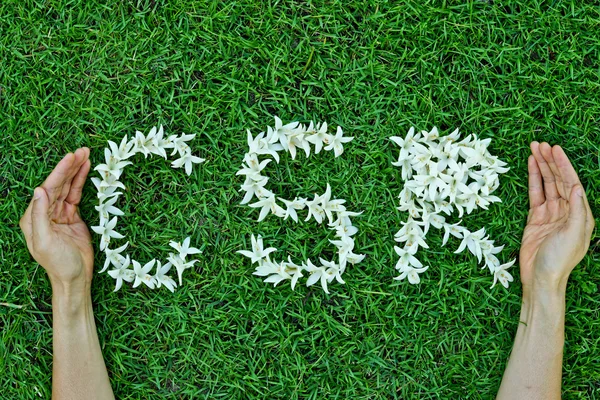 CSR - sosyal sorumluluk