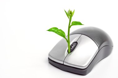 A tree growing on a mouse clipart