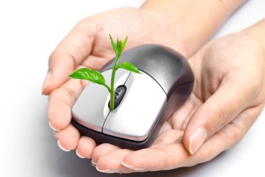 Hands holding a tree growing on a mouse clipart