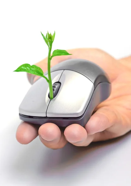 Hands holding a tree growing on a mouse — Stock Photo, Image