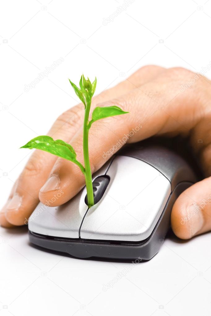Hands holding a tree growing on a mouse
