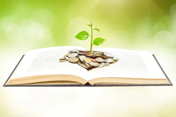 Tree growing from books with coins — Stock Photo, Image