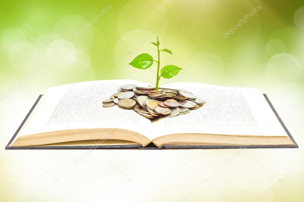 Tree growing from books with coins