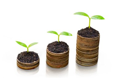 Tress growing on coins clipart
