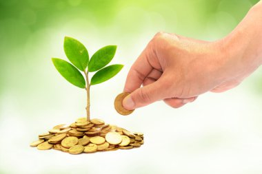 altın madeni paralar bardaklar büyüyen bir ağaç vererek el