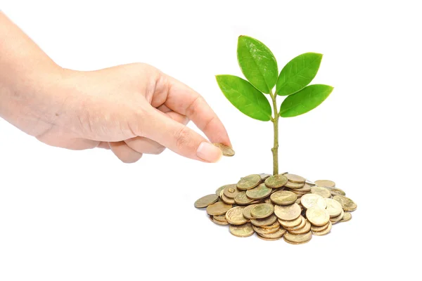 Mano dando una moneda de oro a un árbol que crece de pila de monedas — Foto de Stock