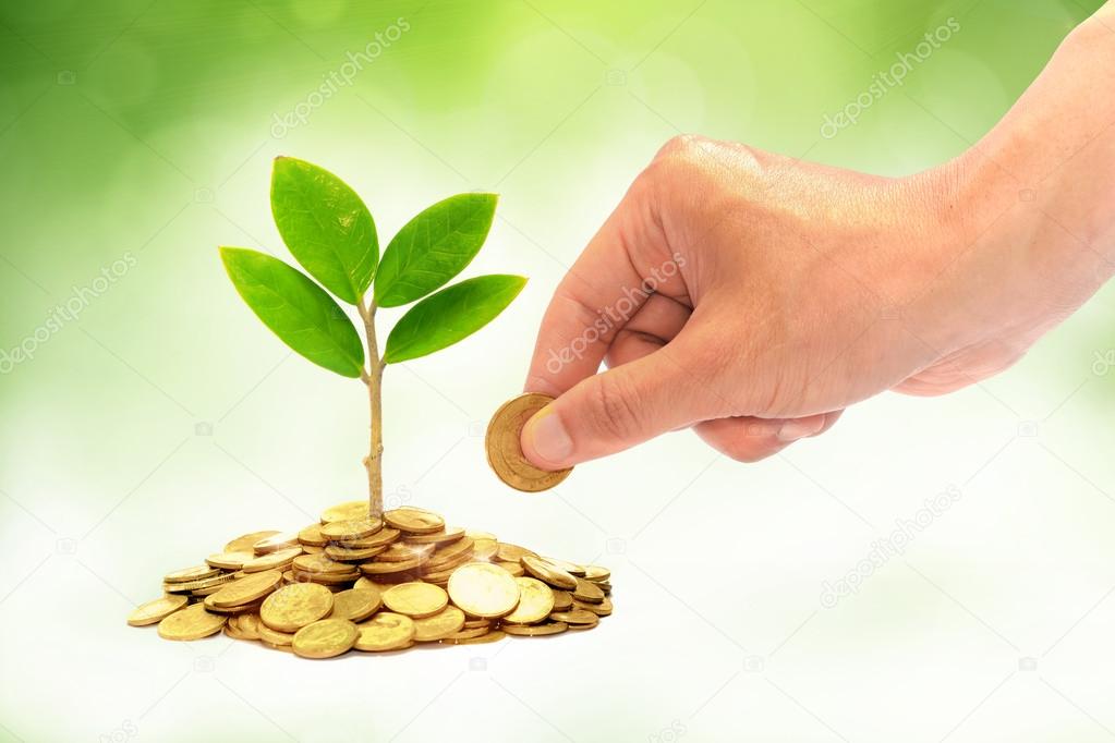 Hand giving a golden coin to a tree growing from pile of coins