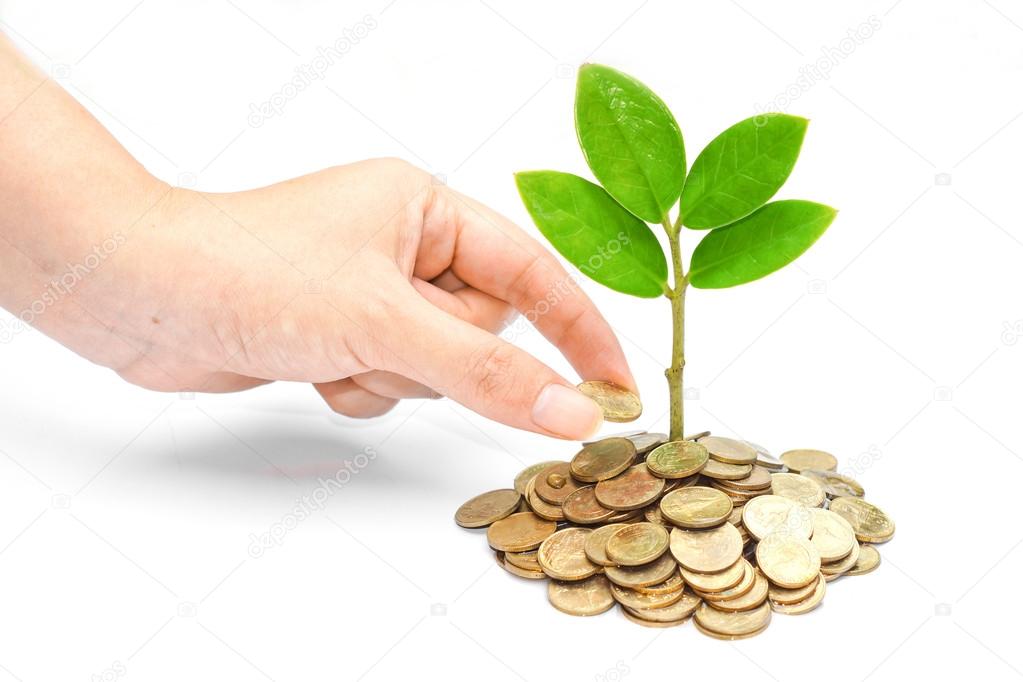 Hand giving a golden coin to a tree growing from pile of coins