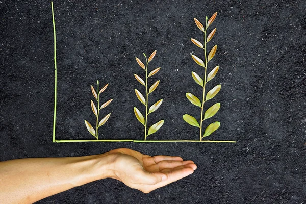 Tree arranged as a green graph — Stock Photo, Image