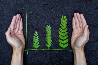 yeşil bir grafik düzenlenen ağaç