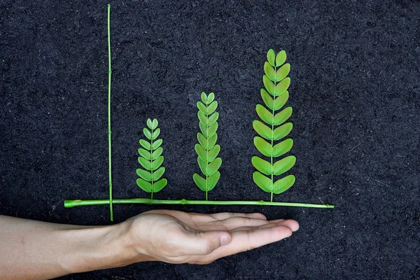 yeşil bir grafik düzenlenen ağaç