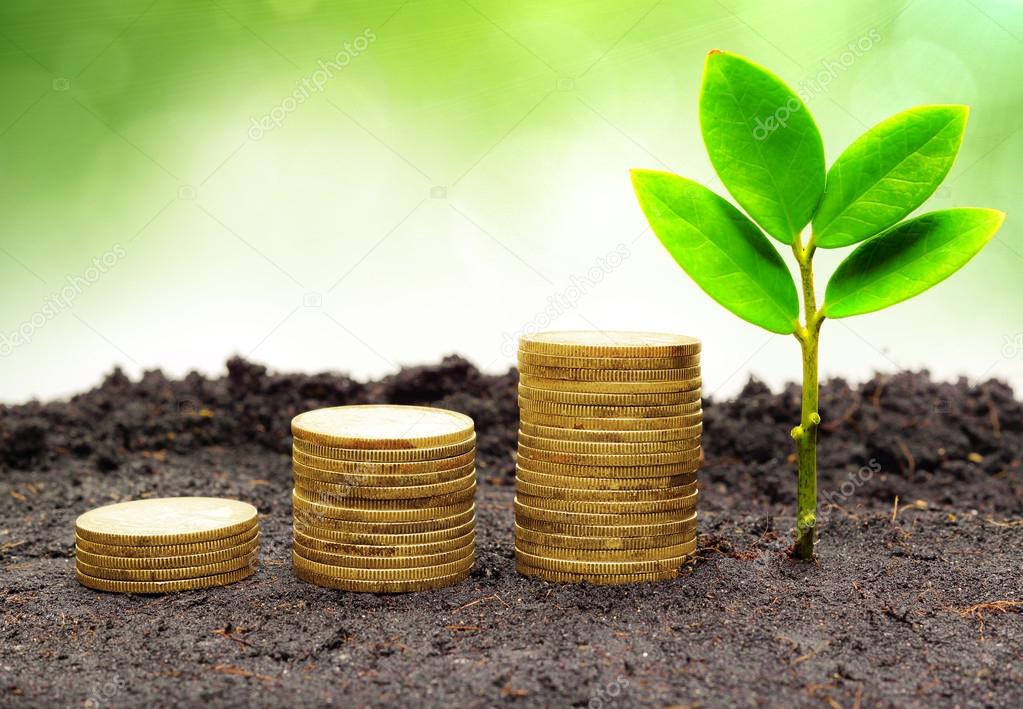Trees growing on coins - csr - sustainable development - trees growing on stack of coins