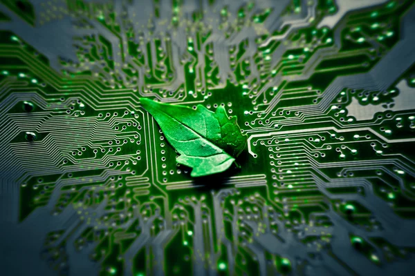 Green computing — Stock Photo, Image