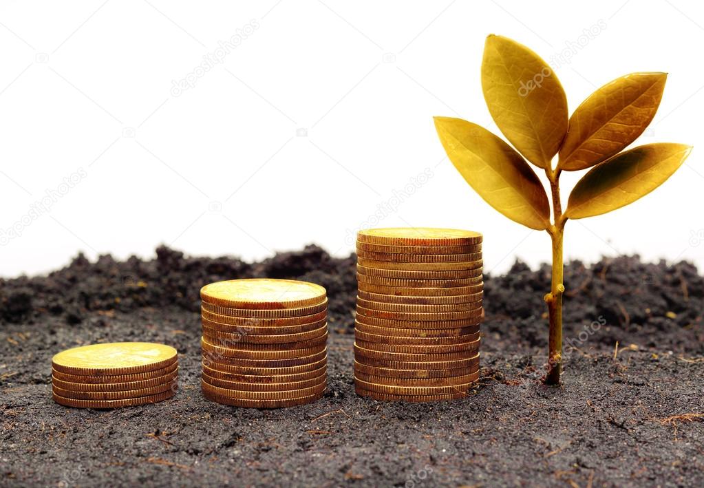 Trees growing on coins