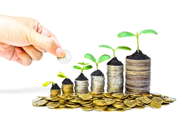 Trees growing on coins — Stock Photo, Image