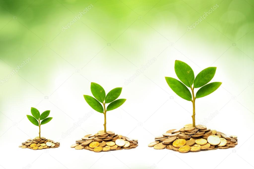 Trees growing on piles of golden coins with green background