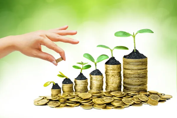Hand giving a golden coin to a tree growing from pile of coins — Stock Photo, Image