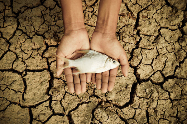 Руки держат мертвую рыбу
