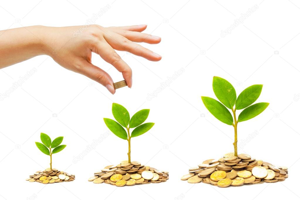 Hand giving a golden coin to a tree growing from pile of coins