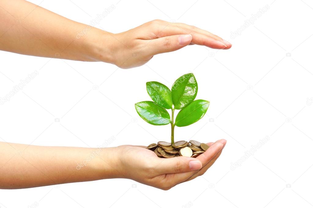 Tree growing on coins