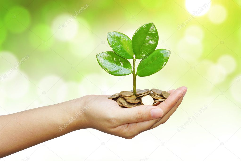 Tree growing on coins