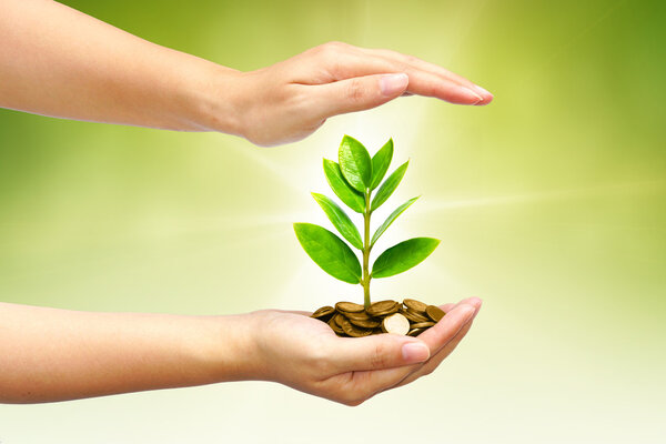 Дерево, растущее из груды монет
