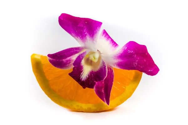 Розовая орхидея и оранжевый на белом фоне — стоковое фото