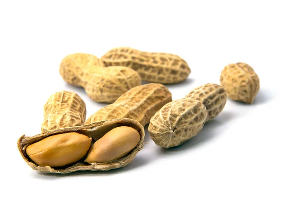 Amendoins em terra branca — Fotografia de Stock