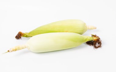 Beyaz arkaplanda izole edilmiş mısır