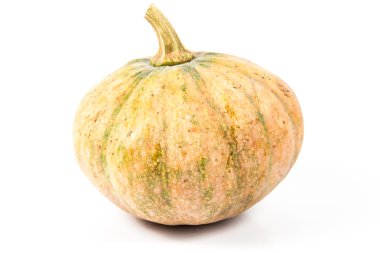 Balkabağı beyaz zemin üzerine 