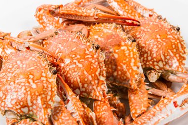 sıcak buharda pişmiş Yengeç