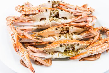 sıcak buharda pişmiş Yengeç