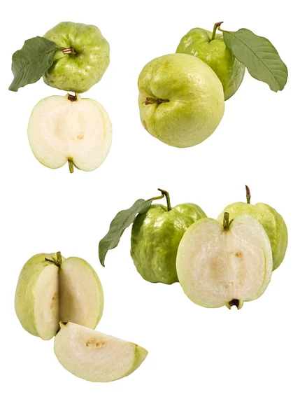 흰 배경에 있는 과바 ( 열 대 과일 ) — 스톡 사진