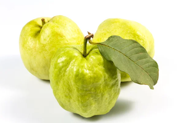 Guayaba (fruta tropical) sobre fondo blanco — Foto de Stock