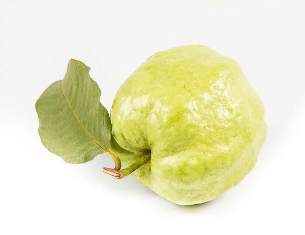 Beyaz arkaplanda guava (tropikal meyve) — Stok fotoğraf
