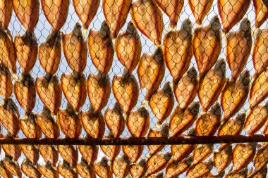 kurutulmuş balık güneş ışığında Kuru.