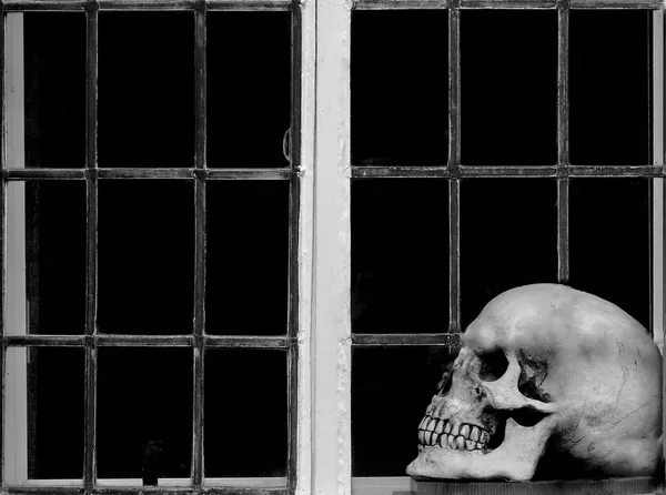 pencerenin önünde karşı karşıya