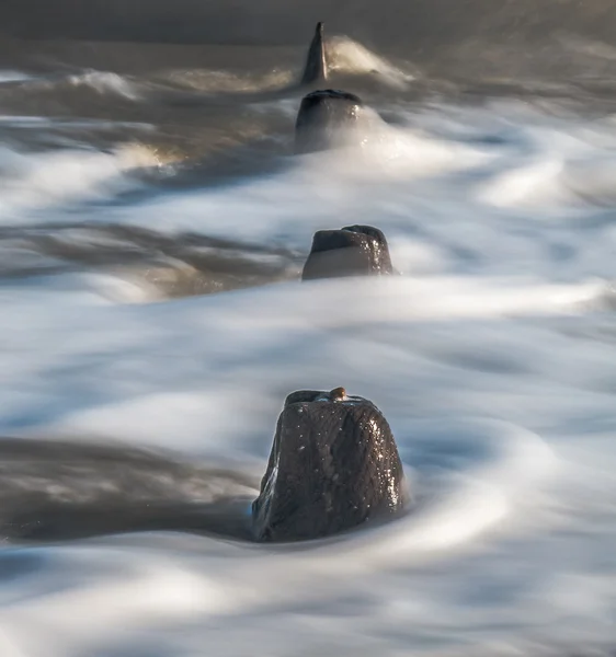 Vagues laiteuses entourant les épis — Photo