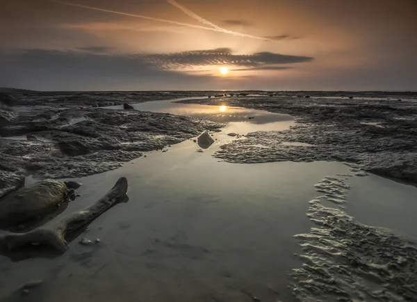 Sunrise pett düzeyinde