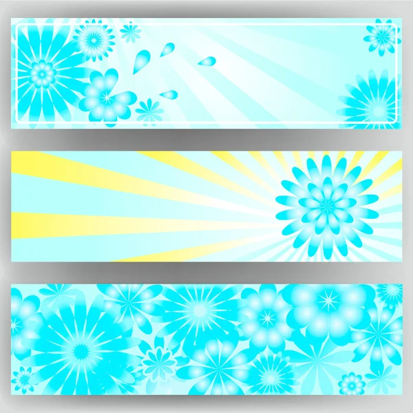 Bright banner set with flowers. — Stock Vector