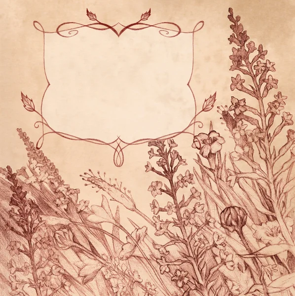 Rysunek ołówkiem w sepii. kwadrat tło z kwiatami i — Zdjęcie stockowe