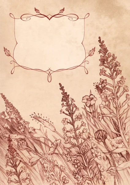 Малюнок ручної роботи в сепії. Вертикальний фон з квітами — стокове фото